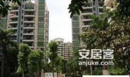 嘉禾新城最新爆料,揭秘未来城市生活新地标！