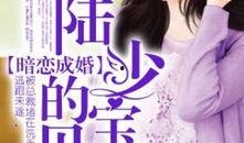 娱乐吃瓜酱宝宝小说,揭秘娱乐圈背后的秘密与笑料